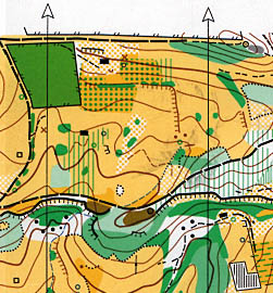 detalhe mapa